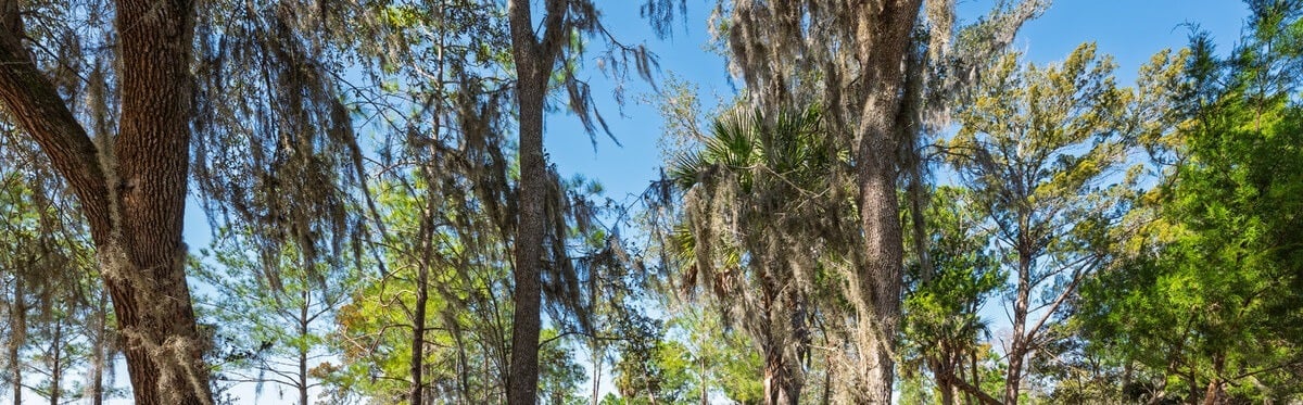 New Communities in Northeast Florida